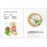 JUST SOUPS RECIPE BOOK (COOK EXPERT),Recipe Books,Root, Magimix 5