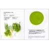 JUST SOUPS RECIPE BOOK (COOK EXPERT),Recipe Books,Root, Magimix 6